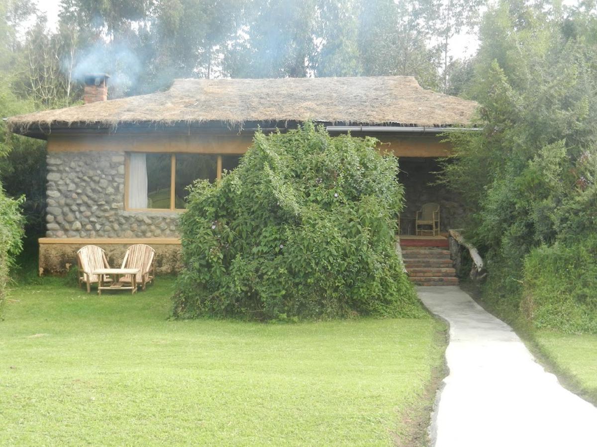 Mountain Gorilla View Lodge Musanze Luaran gambar