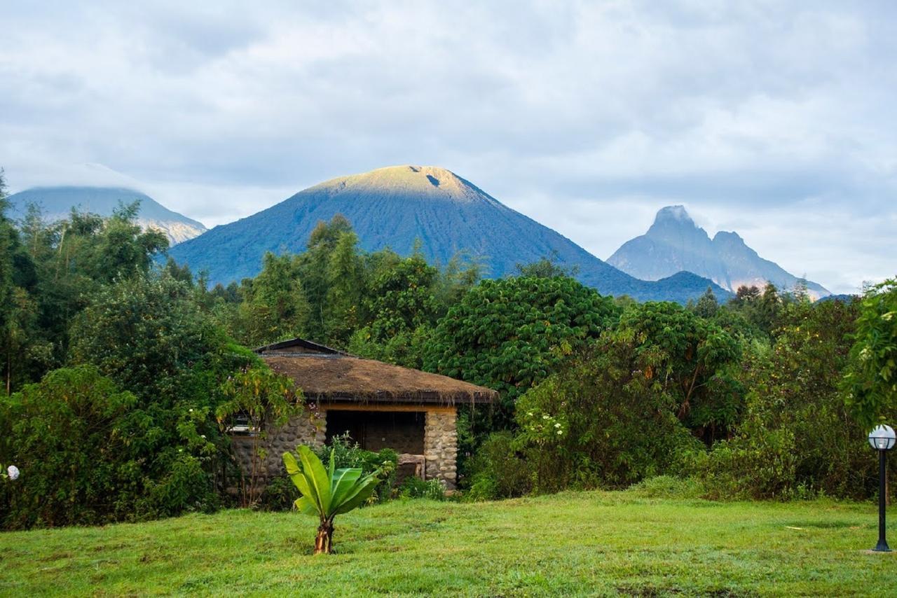 Mountain Gorilla View Lodge Musanze Bilik gambar